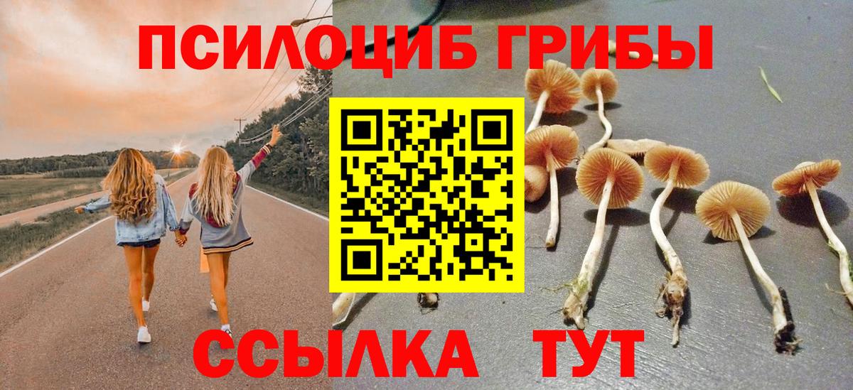 Луга  Псилоцибиновые грибы Psilocybine cubensis  Псилоцибиновые грибы Magic Shrooms  Вход с VPN 