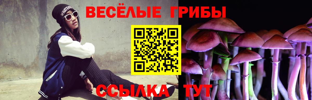 Псилоцибиновые грибы MAGIC MUSHROOMS Луга